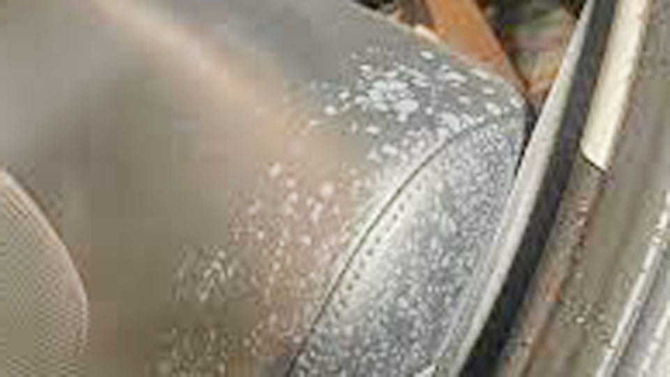 Can You Use Lysol on Car Interior?