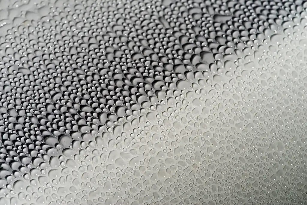 A sedan with bug splatter and dust after a road trip, with a hand holding a wash mitt and bucket nearby