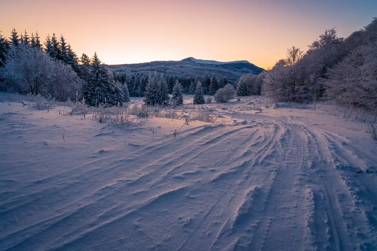 Decision matrix: which tire fits your climate and driving pattern?